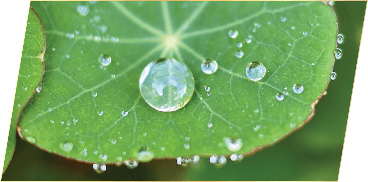 Hydrophobic Properties
